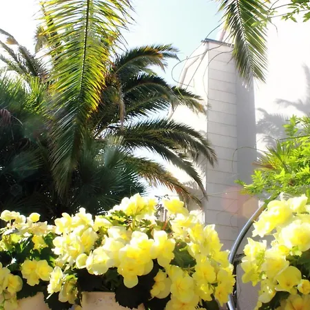 Apartment Romana